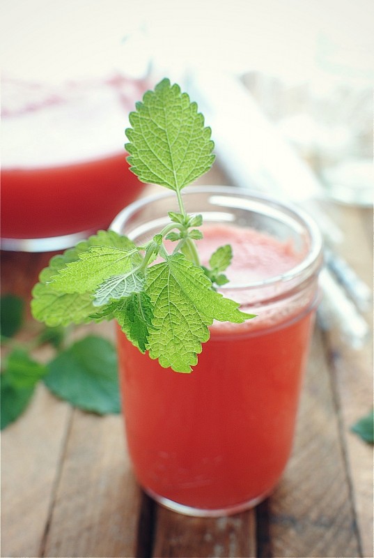 Watermelon Spritzers with Lemon and Honey