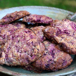 Wild Purple Scones