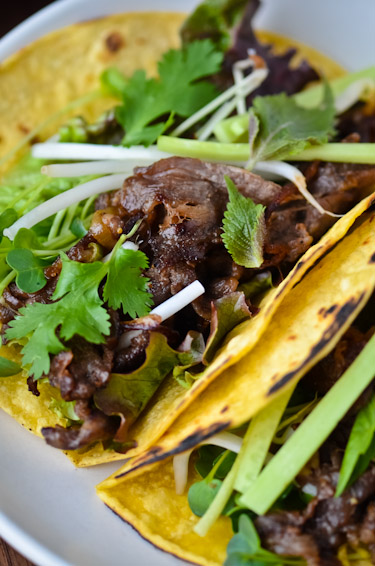 Korean Blugogi Tacos
